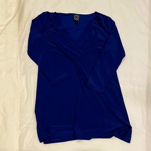 Clara Sunwoo Blue Tunic Top